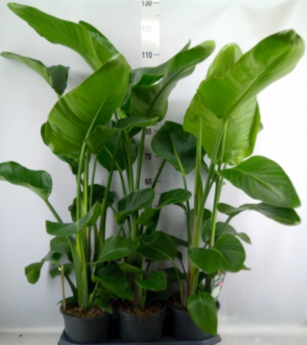 Zrzut ekranu 2024-09-01 114540.png