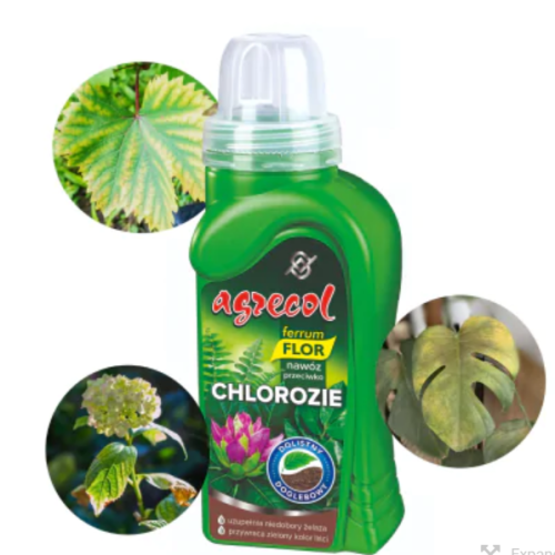 Zrzut ekranu 2024-09-09 174519.png