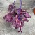 Trzykrotka fioletowa Tradescantia zebrina  (2).jpg