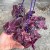 Trzykrotka fioletowa Tradescantia zebrina  (3).jpg