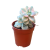 b1837b14-8357-4c27-b3ae-5cb535ae50e0-Photoroom.png