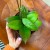 Hoya 'Tequila Sunrise'   (4).jpg