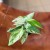 Epipremnum Pinnatum Marble Variegata (2).jpg