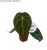 Zrzut ekranu 2025-06-08 083313.png