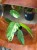 filodendron Philodendron-hybrid Lundager Jose Buono (2).jpeg