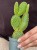 Opuntia microdasys 'Yellow'  (2).jpeg