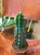 Cuddly Cactus (Cereus jamacaru) (3).jpg
