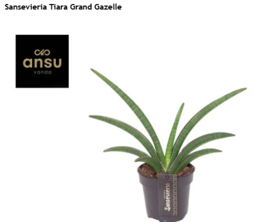 Zrzut ekranu 2025-08-31 091219.png