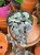 Ceropegia woodii różowa Ceropegia variegata.jpg