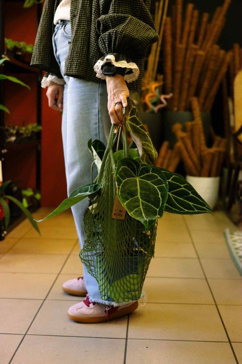 d4cffac9-5c07-4df6-949e-2a193361c883 (1).jpg