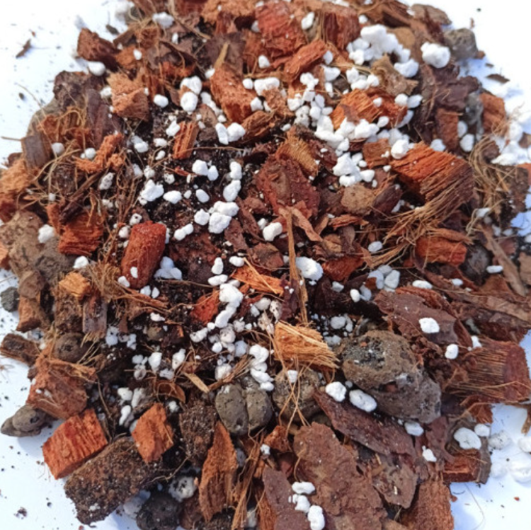 Botanic Soil Classic- BIGOS podłoże do monster, filodendronów epipremnum, alokazji i scindapsusów