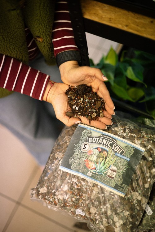 Botanic Soil Succulent- podłoże do sukulentów, hoji, sansewierii, zamiokulkasów