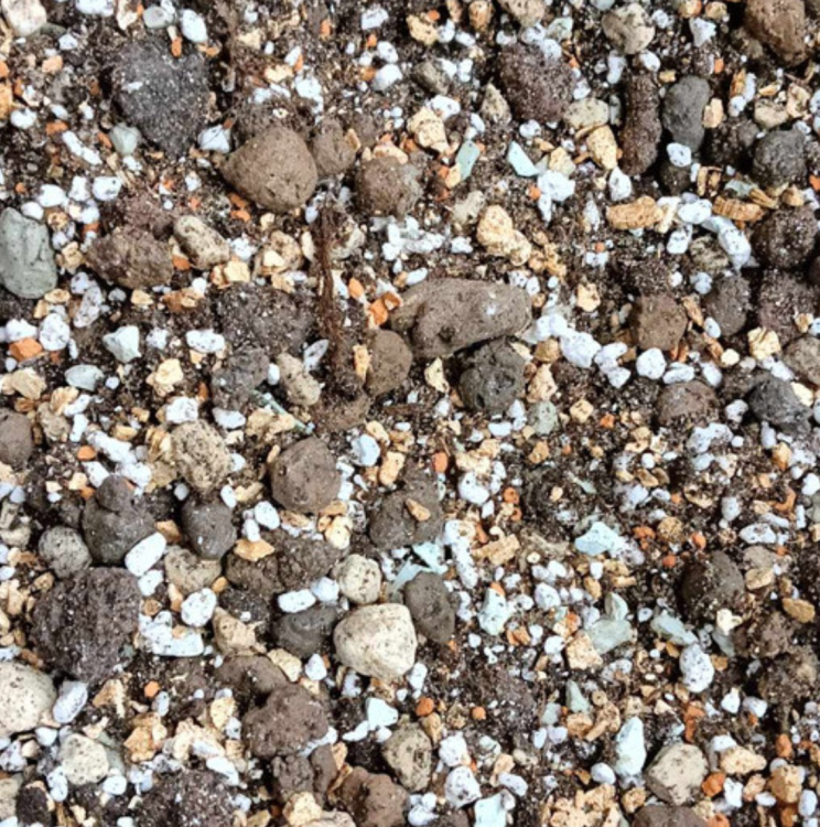Botanic Soil Succulent- podłoże do sukulentów, hoji, sansewierii, zamiokulkasów