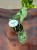 Syngonium podophyllum Mottled (3).jpeg