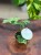 Syngonium podophyllum Mottled (4).jpeg