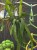019c67ab-7c14-42ff-a4dc-5a1705f65d7a.jpg