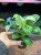 philodendron birkin (5).jpg