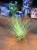 Tillandsia Andreana oplątwa (1).jpg