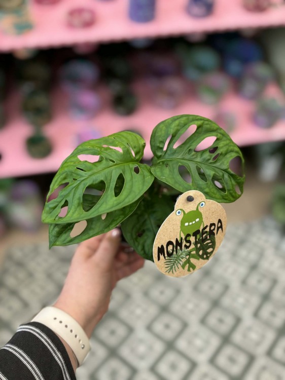 monstera monkey mask MAŁPKA (4).jpg