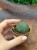 Wilczomlecz obesa  euphorbia obesa  roślina basebal (3).jpg