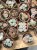 żywe kamienie  Lithops (6).jpg