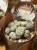 żywe kamienie  Lithops DØ6,5cm biały kwiat (3).jpg