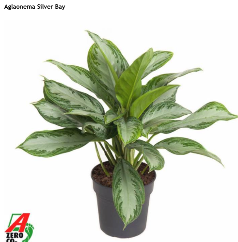 Zrzut ekranu 2026-04-01 110219.png