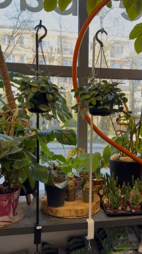 Hak stołowy – regulowany uchwyt