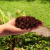 Czipsy kokosowe coco chips rozluźnione 5l ( (1).png