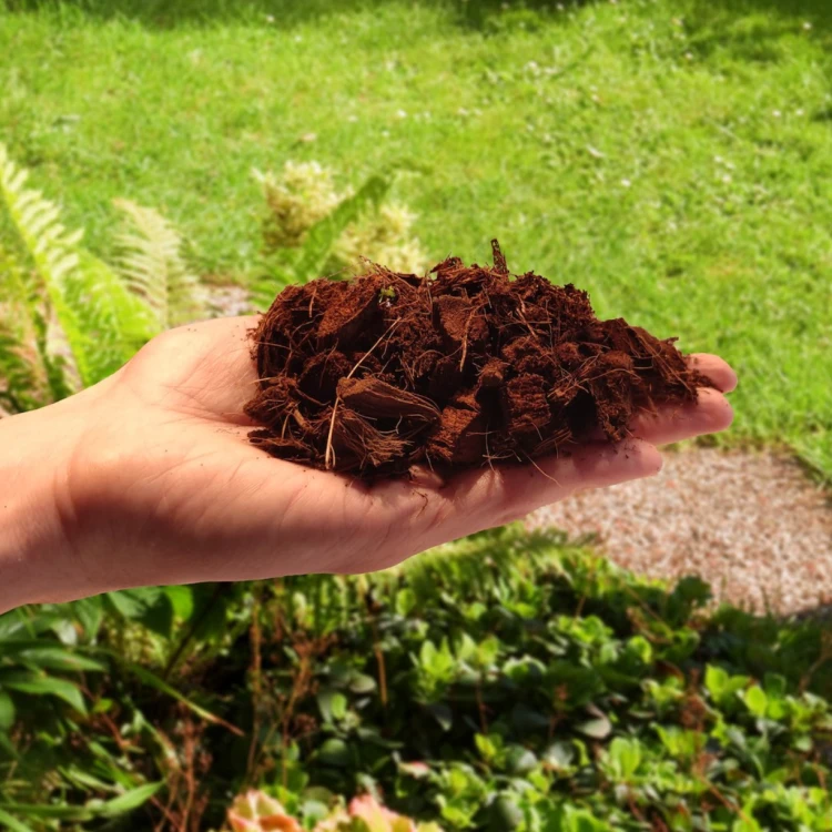 Czipsy kokosowe coco chips rozluźnione 5l ( (1).png
