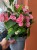 Euphorbia milii (1).jpg