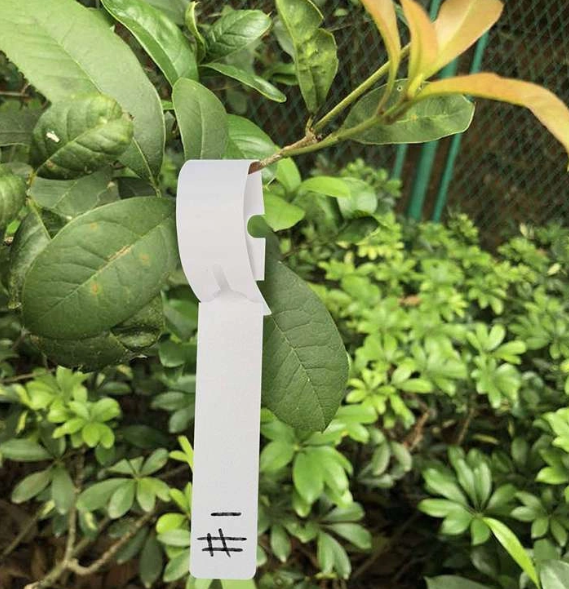 Herbgarden Plant Wrap Tags - samozaciskowe etykiety na rośliny 2x21cm