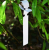Herbgarden Plant Wrap Tags - samozaciskowe etykiety na rośliny 2x21cm