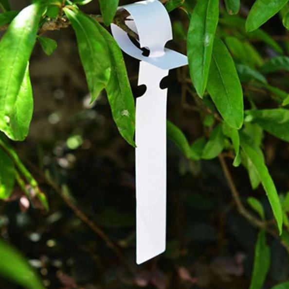 Herbgarden Plant Wrap Tags - samozaciskowe etykiety na rośliny 2x21cm