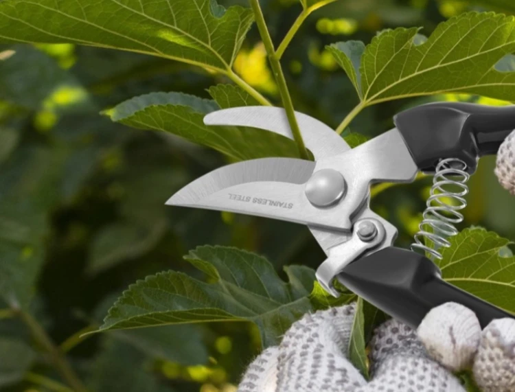 Herbgarden Garden Secateurs - sekator ogrodniczy