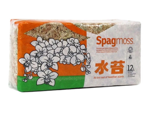 Besgrow Mech Torfowiec Sphagnum Spagmoss