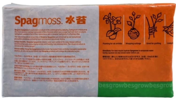 Besgrow Mech Torfowiec Sphagnum Spagmoss