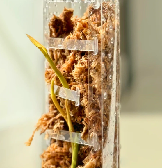 PlantScraper Front Opening Moss Pole – palik z otwieranym frontem (6).png