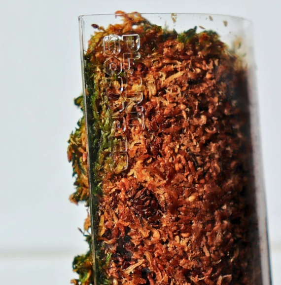 PlantScraper Front Opening Moss Pole – palik z otwieranym frontem (9).png