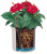 zestaw do uprawy hydroponicznej  (3).png
