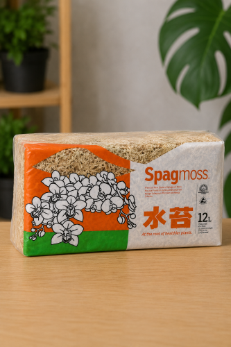 Besgrow Mech Torfowiec Sphagnum Spagmoss