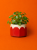 80d0dcf1-c15b-4531-b461-c421a573e8d0.png