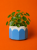 ba1eb4c1-160d-4893-9ec5-aee4d20e57b7.png