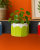 1187605d-c021-4a94-bc49-07906f4903c5.png