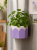 f175638f-cb0a-4777-93ff-3eecebec02bc.png