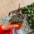 56ce9895-3693-4566-9f54-7b845632bb1f.jpg