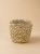 2697b034-5cf5-4d3a-b009-5d9225af02b6.png