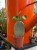 photo-output_2 (1).jpeg