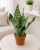 428bcf74-c5c3-419d-8c57-76096b2c7d52.png