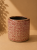 50f10cdd-0659-41e4-8dc1-2528c3d0b53b.png